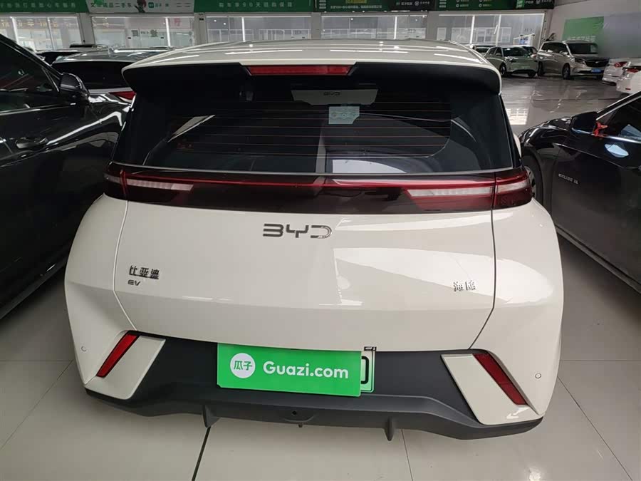 BYD Seagull