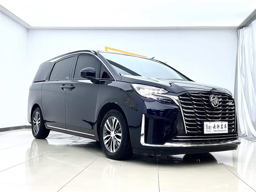 Buick GL8 ES Avenir Comfort