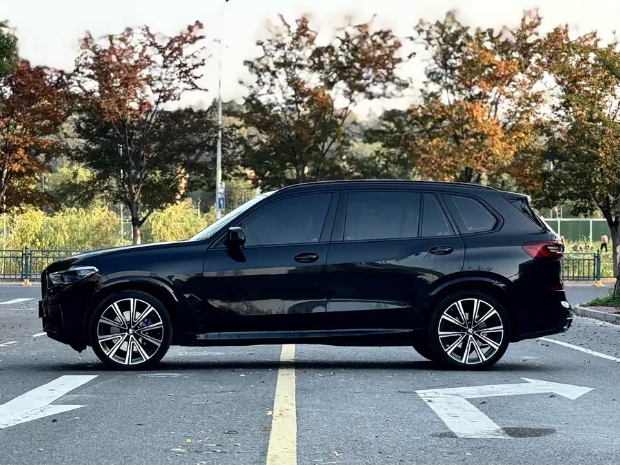 BMW X5 xDrive40Li Premium M Sport Package (facelift)