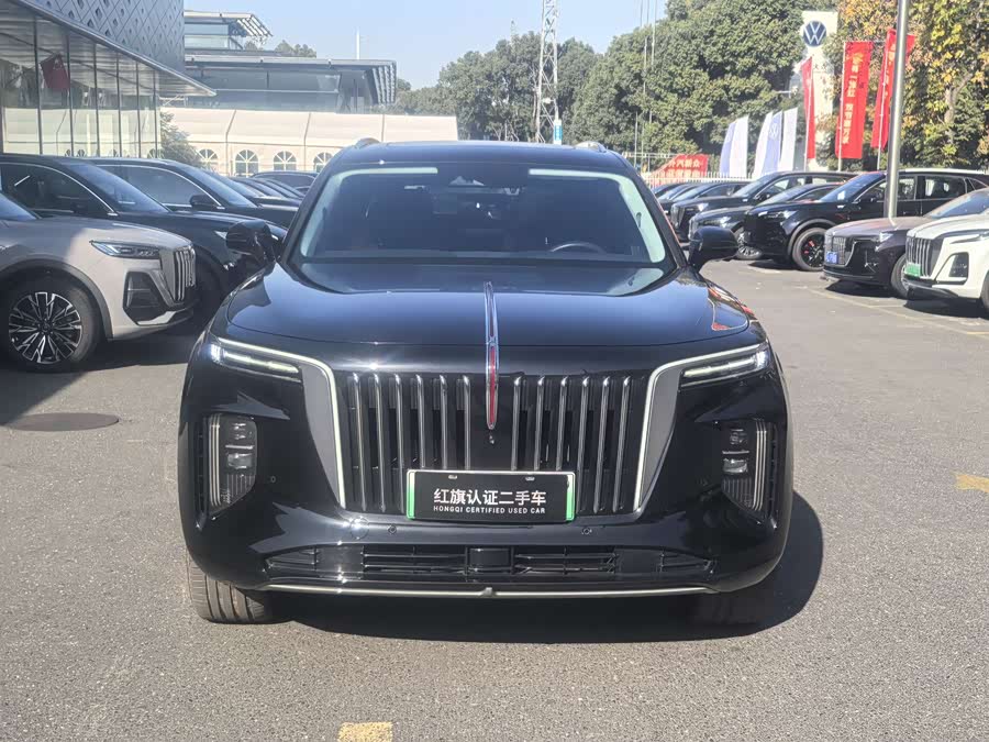 Hongqi E-HS9