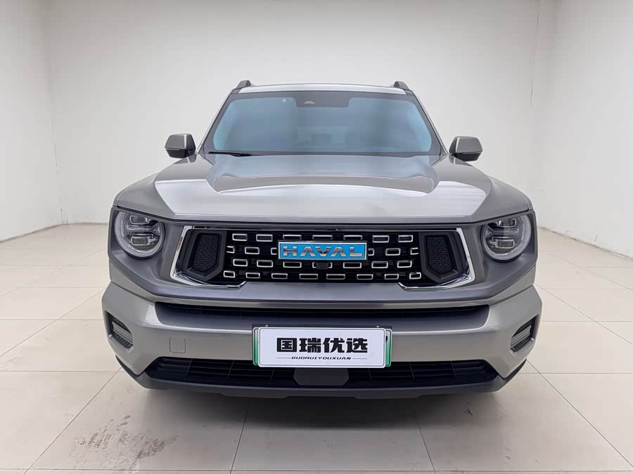 Haval Big Dog PLUS New Energy