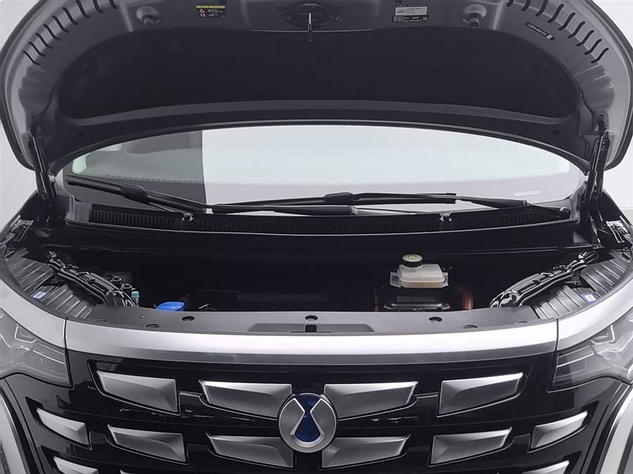 Denza D9 DM-i 1050 Zunxiang