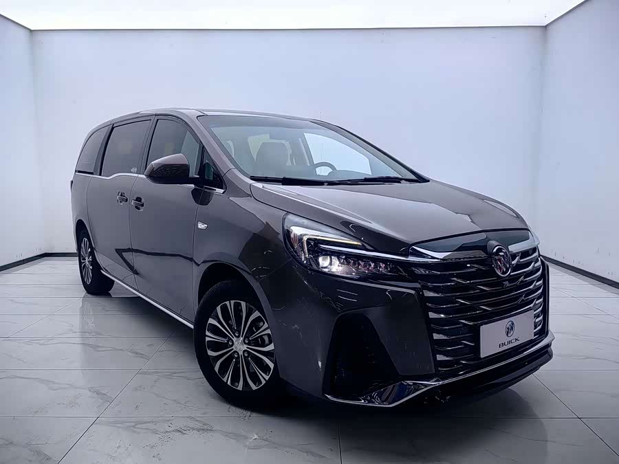 Buick GL8 Land Business Class Comfort