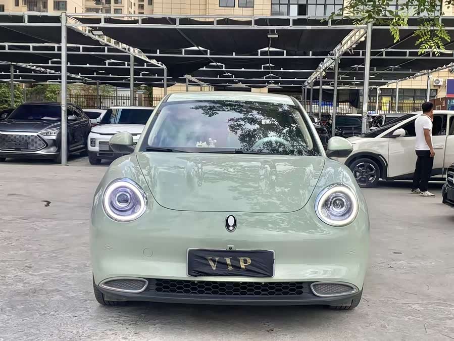 Ora Good Cat Morandi Edition 400 km Standard Range Premium (LFP)