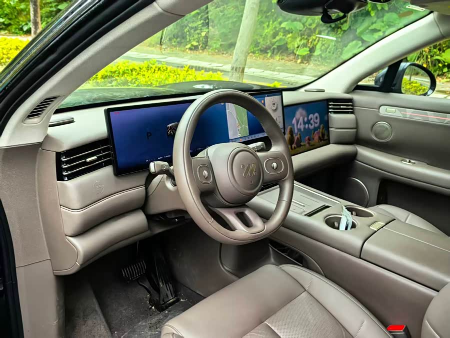 IM LS6 Range-Extended 66 Max+