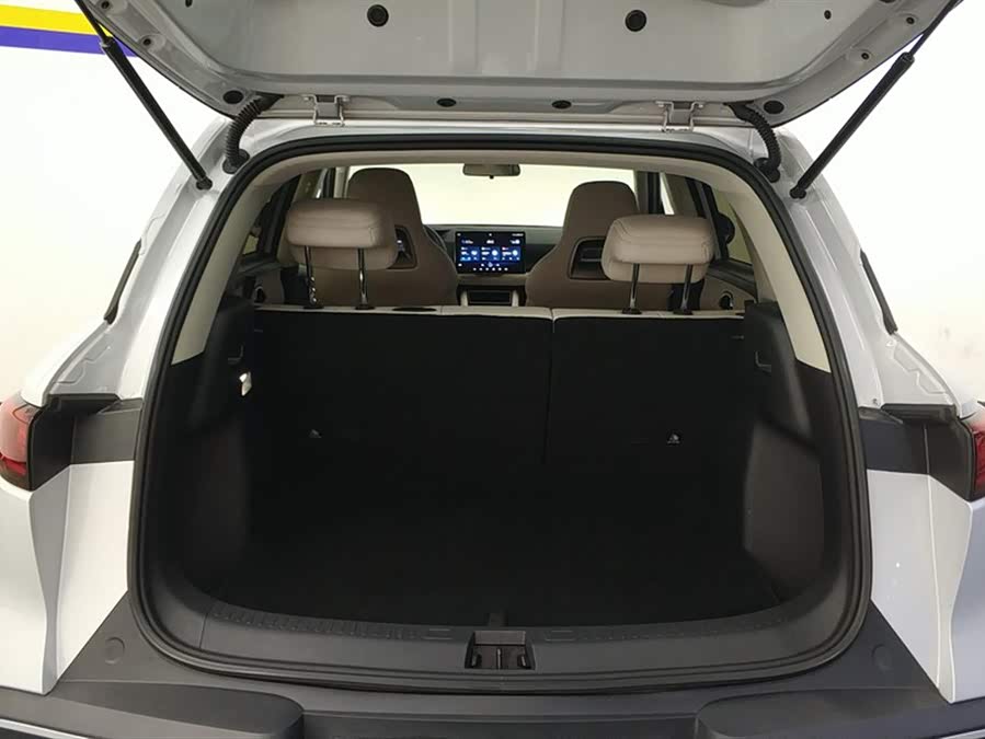 BYD Yuan UP 401 km Leading