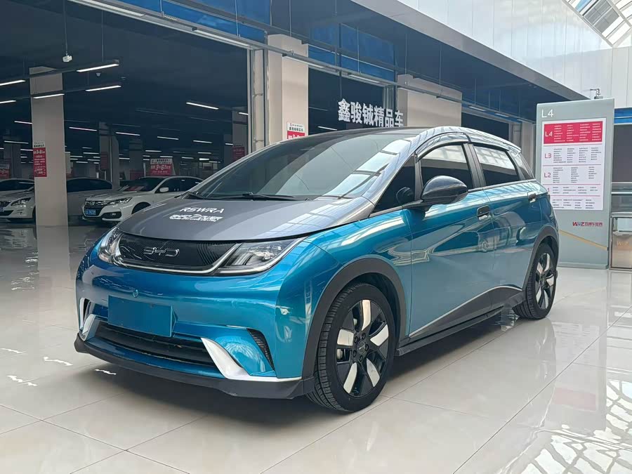 BYD Dolphin 401 km Knight Edition
