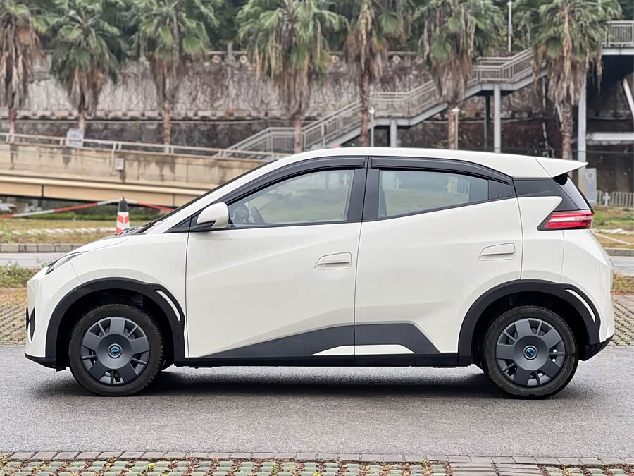 BYD Seagull Smart Driving 305 km Vitality Edition