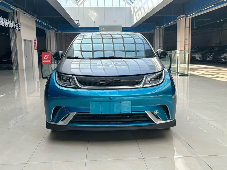 BYD Dolphin 401 km Knight Edition
