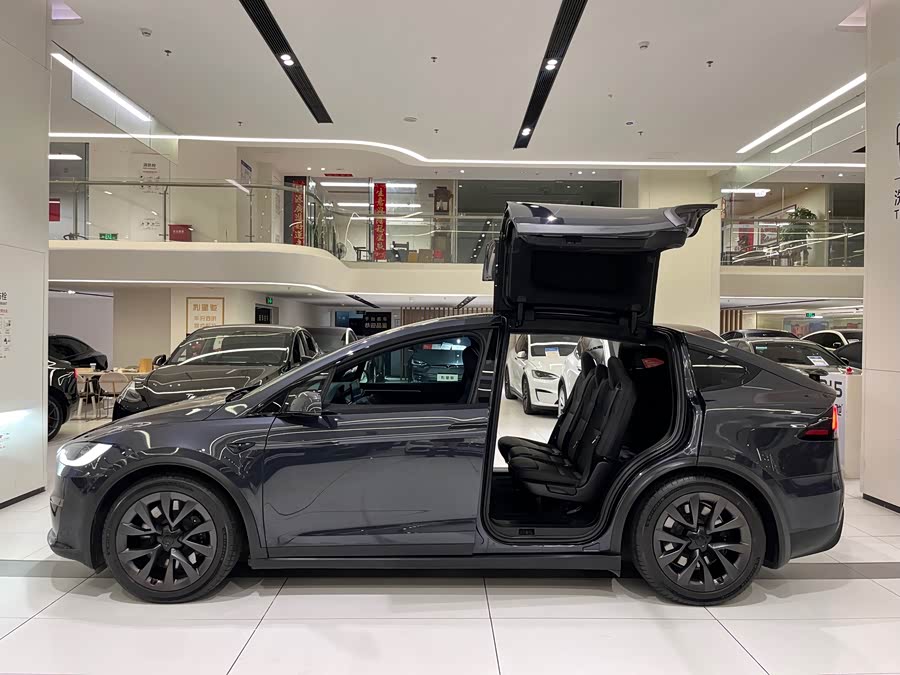 Tesla Model X Dual Motor