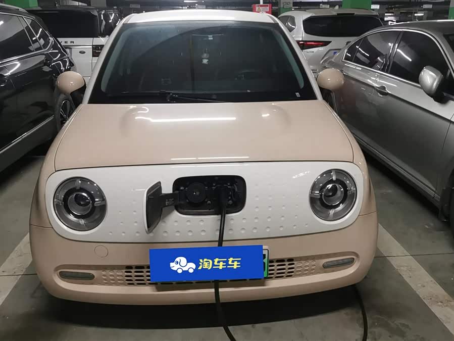 Ora Black Cat 351 km Standard (NMC)