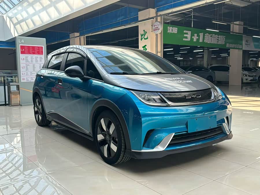 BYD Dolphin 401 km Knight Edition