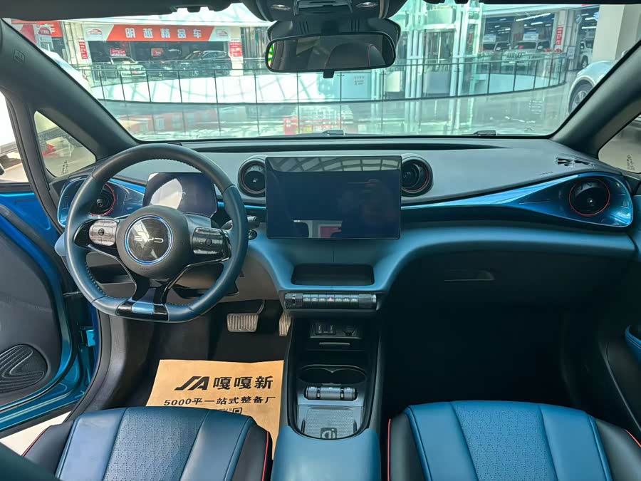 BYD Dolphin 401 km Knight Edition