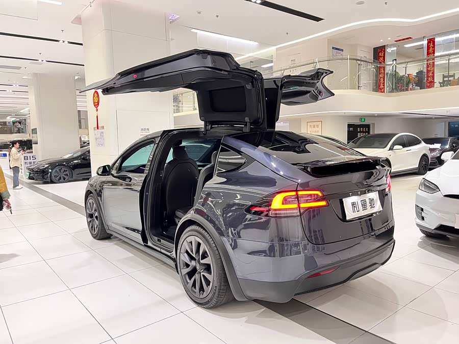 Tesla Model X Dual Motor