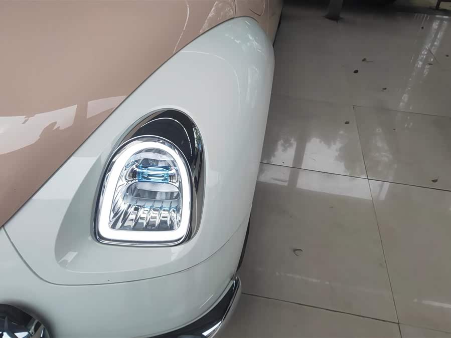 Ora Ballet Cat 401 km Nutcracker Edition