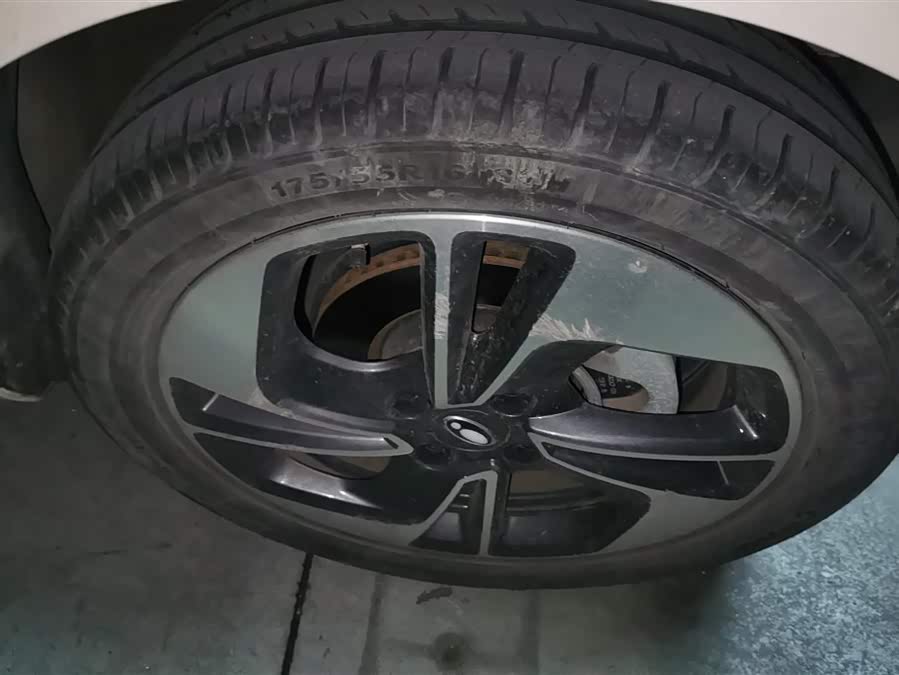 Ora Black Cat 351 km Standard (NMC)