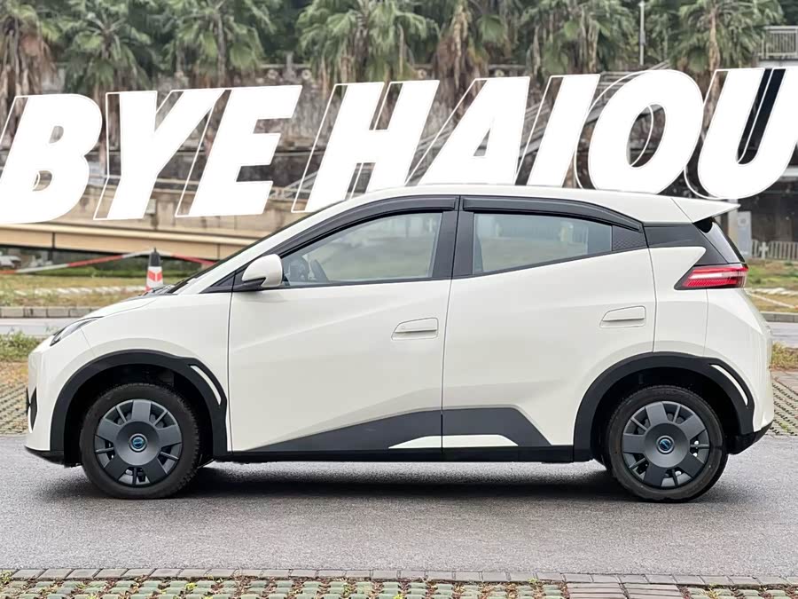 BYD Seagull Smart Driving 305 km Vitality Edition