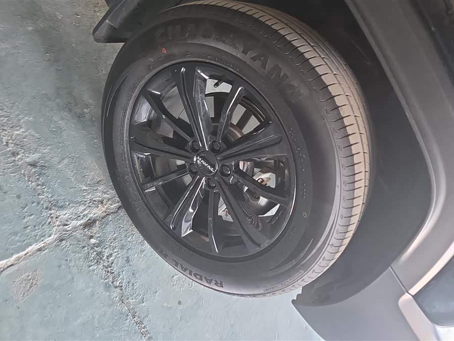 Haval Menglong New Energy Hi4 102 Pro