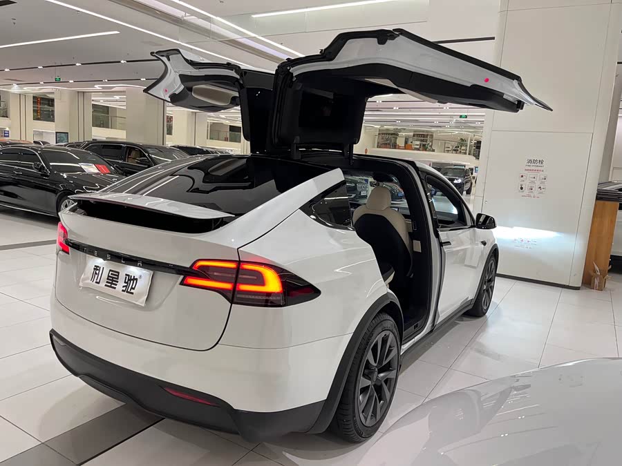 Tesla Model X Dual Motor