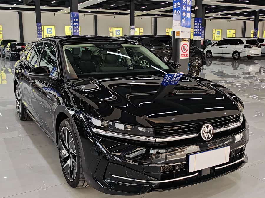 Volkswagen Magotan 2024Trim