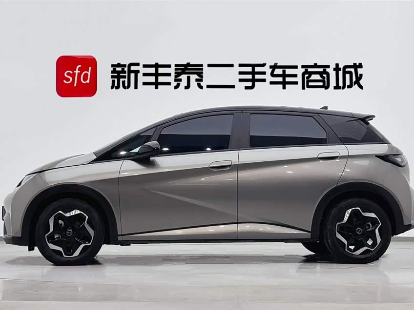 BYD Dolphin 405 km Freedom Edition