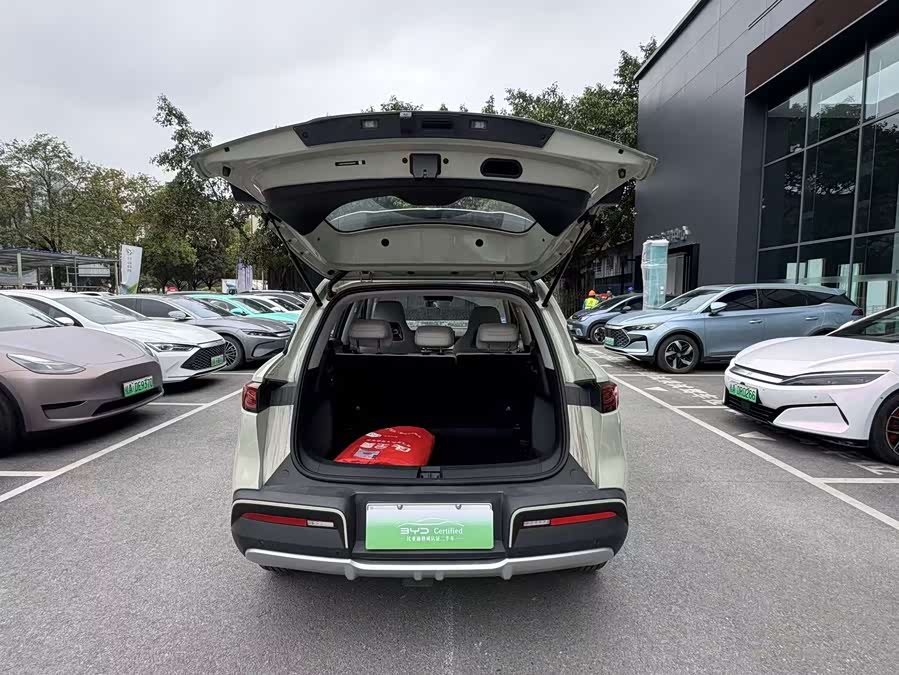 BYD Yuan UP Smart Driving 401 km Leading