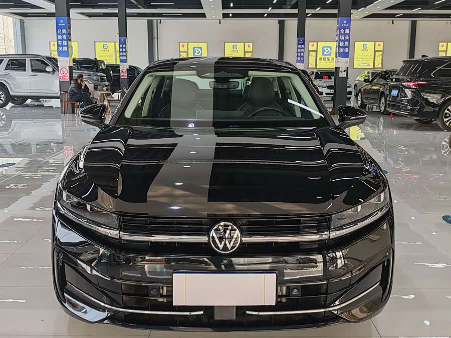 Volkswagen Magotan 2024Trim