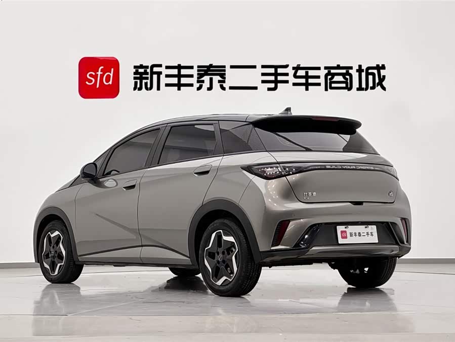 BYD Dolphin 405 km Freedom Edition