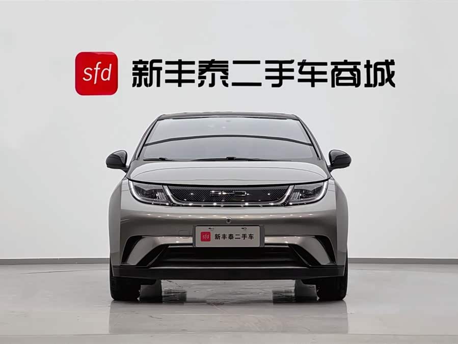 BYD Dolphin 405 km Freedom Edition