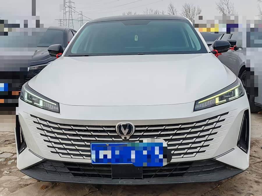 Changan Yida Blue Whale NE