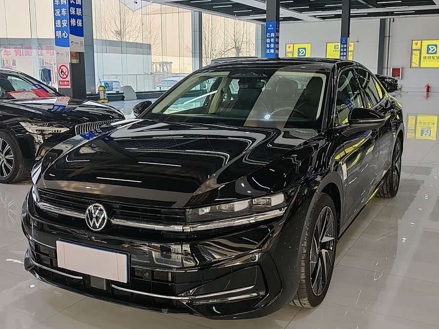 Volkswagen Magotan 2024Trim