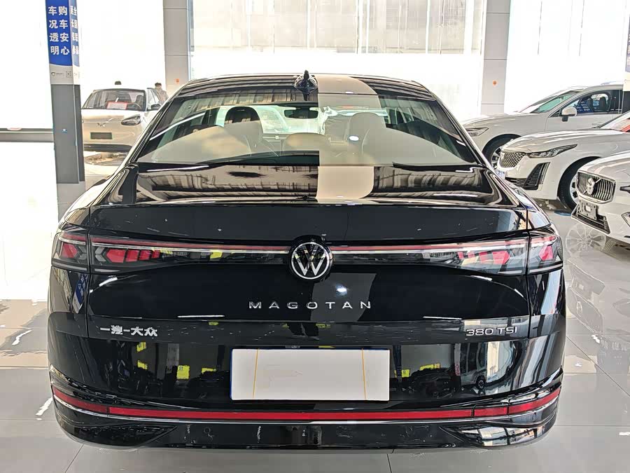 Volkswagen Magotan 2024Trim