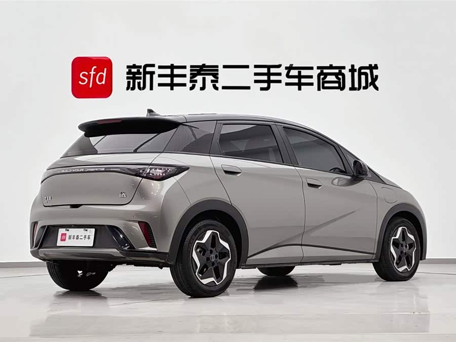 BYD Dolphin 405 km Freedom Edition