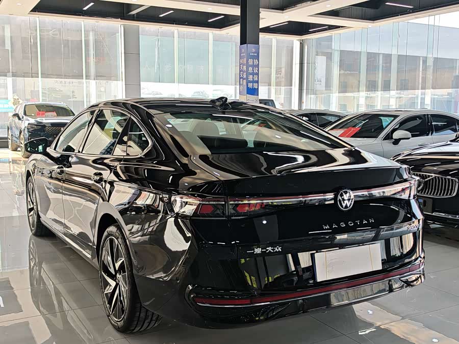 Volkswagen Magotan 2024Trim