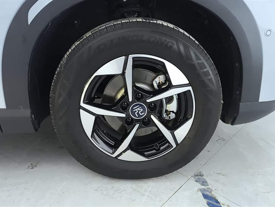 BYD Yuan UP Smart Driving 401 km Leading