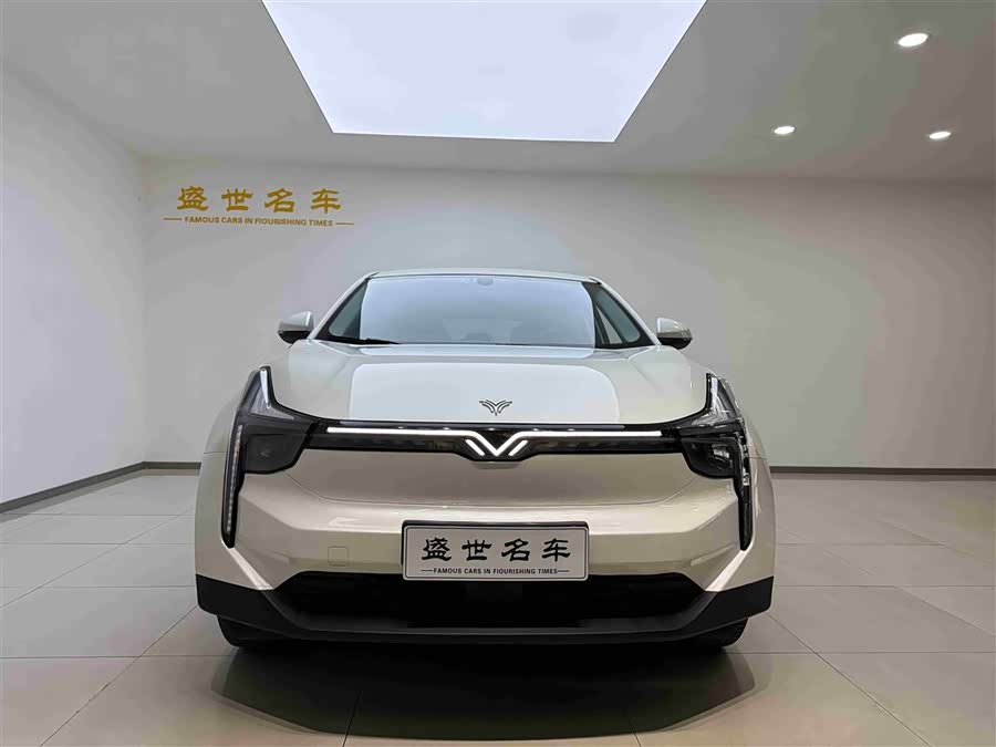 Hozon Neta U Pro 400 Premium Driving Edition