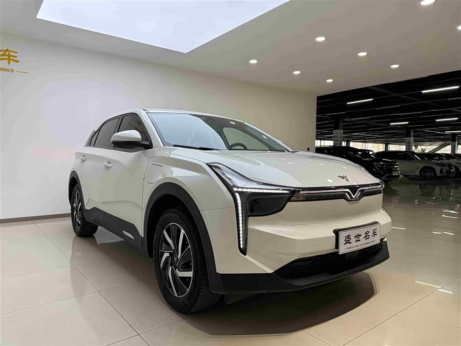 Hozon Neta U Pro 400 Premium Driving Edition