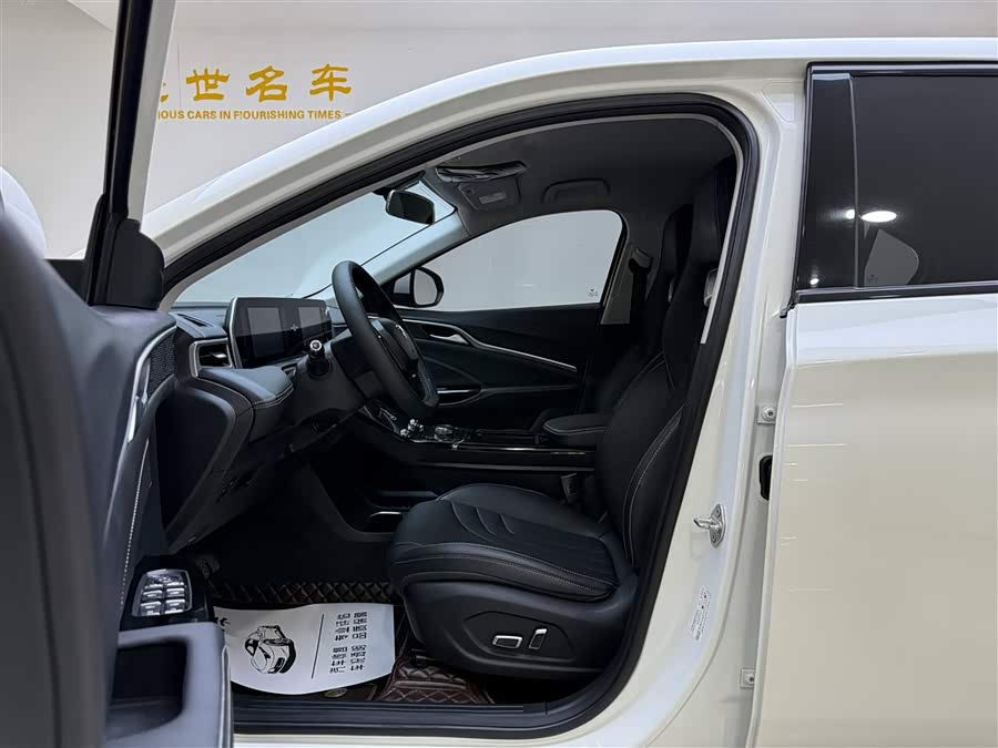 Hozon Neta U Pro 400 Premium Driving Edition