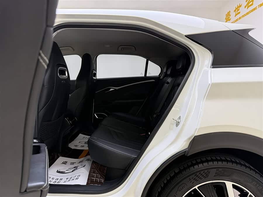 Hozon Neta U Pro 400 Premium Driving Edition