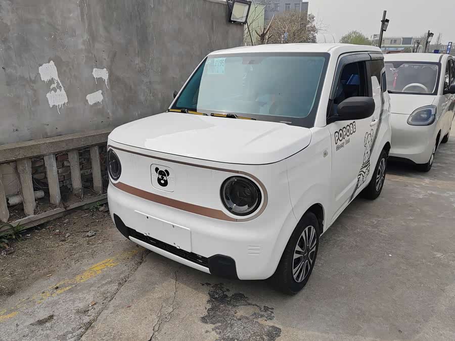 Geely Panda mini 200 km Endurance Bear