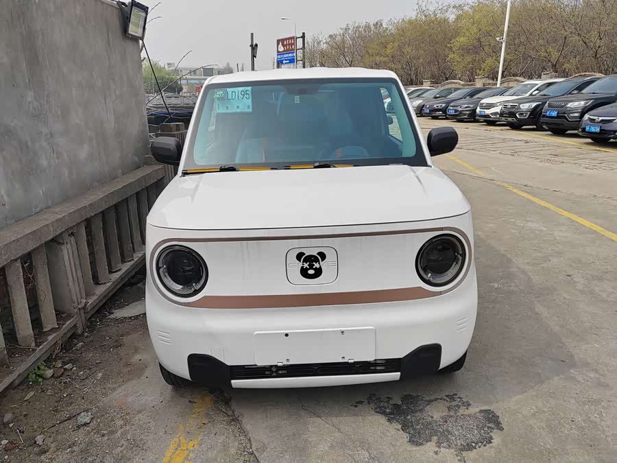 Geely Panda mini 200 km Endurance Bear