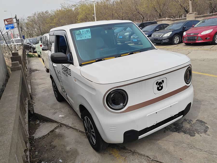 Geely Panda mini 200 km Endurance Bear