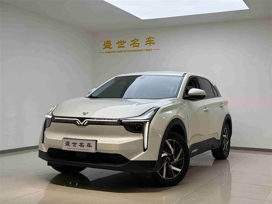 Hozon Neta U Pro 400 Premium Driving Edition