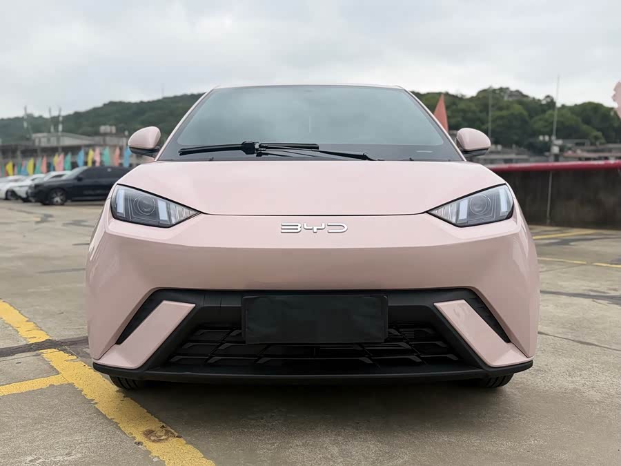 BYD Seagull Honor Edition 305 km Vitality