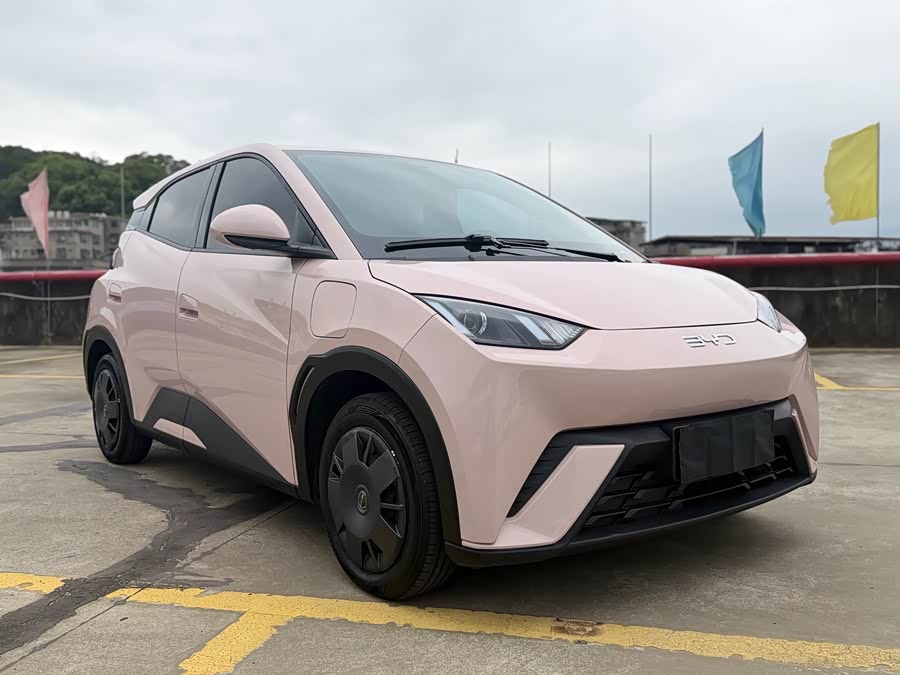 BYD Seagull Honor Edition 305 km Vitality