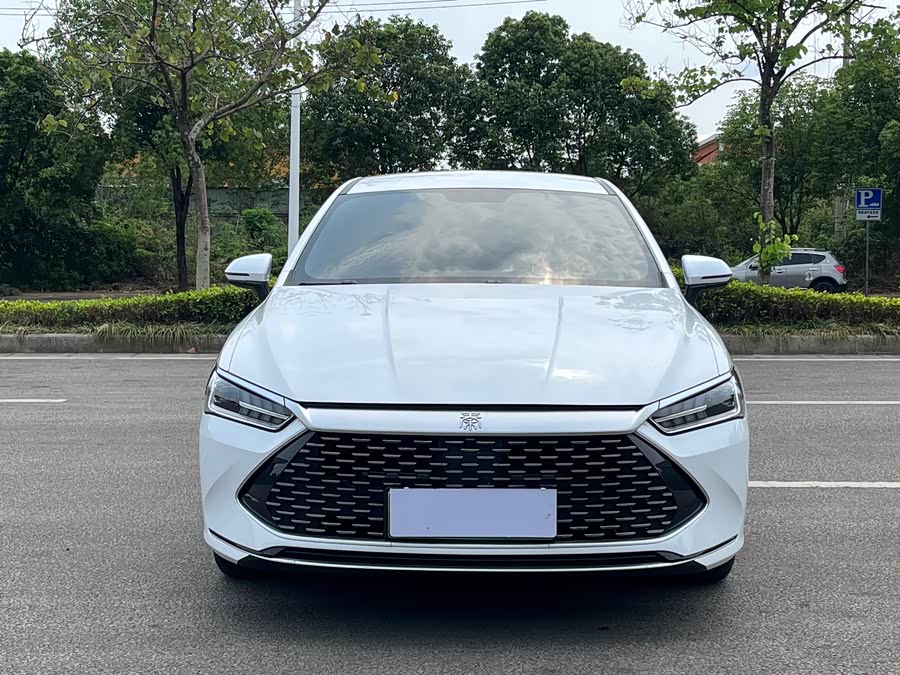 BYD Qin PLUS DM-i 120 km Premium