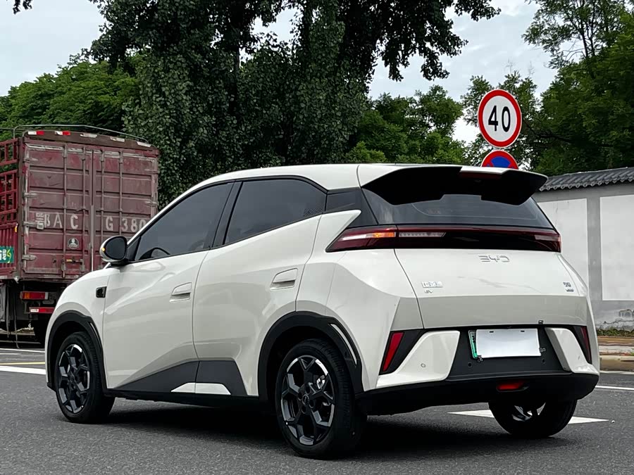 BYD Seagull Smart Drive 305 km Free