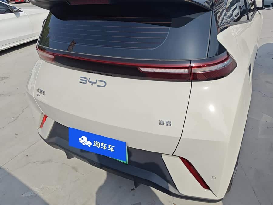 BYD Seagull