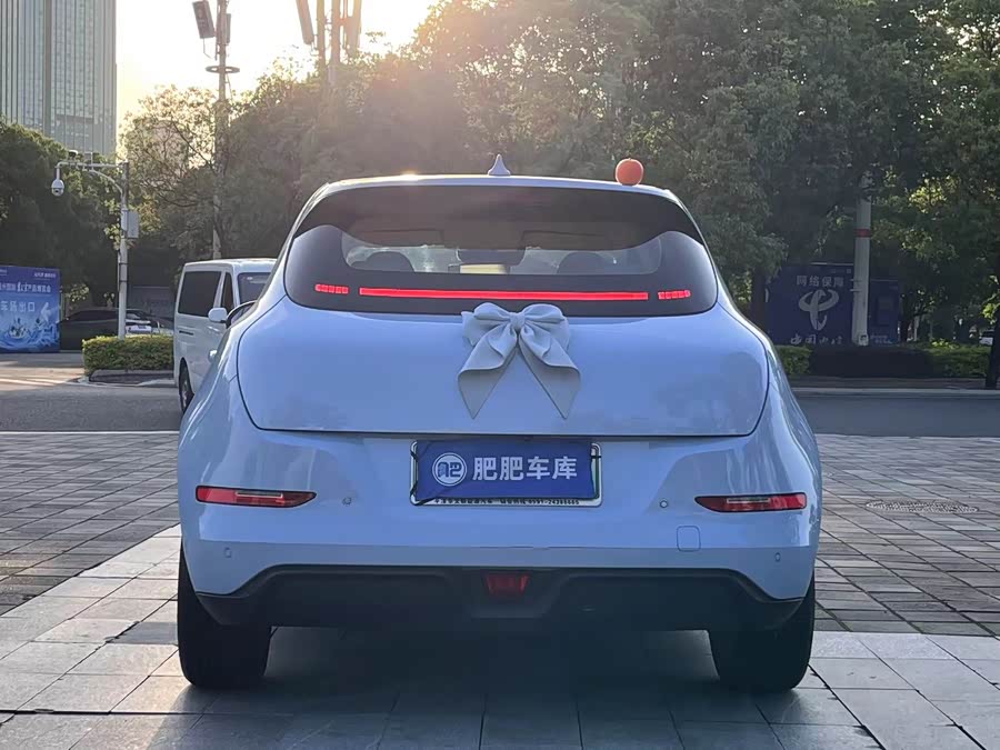 Ora Good Cat 400 km Standard Range Luxury LFP