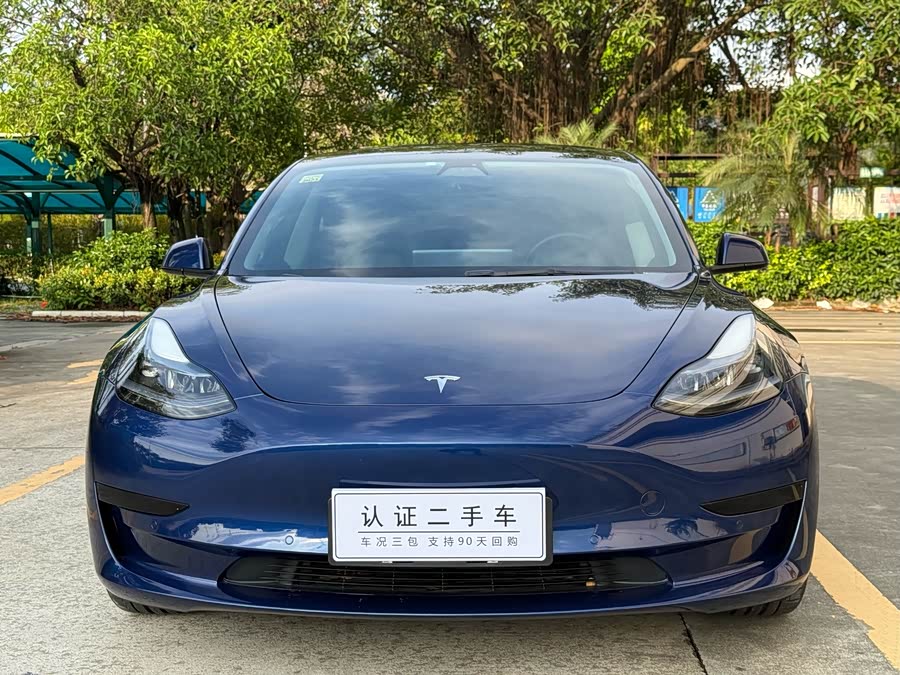 Tesla Model 3 Standard Range
